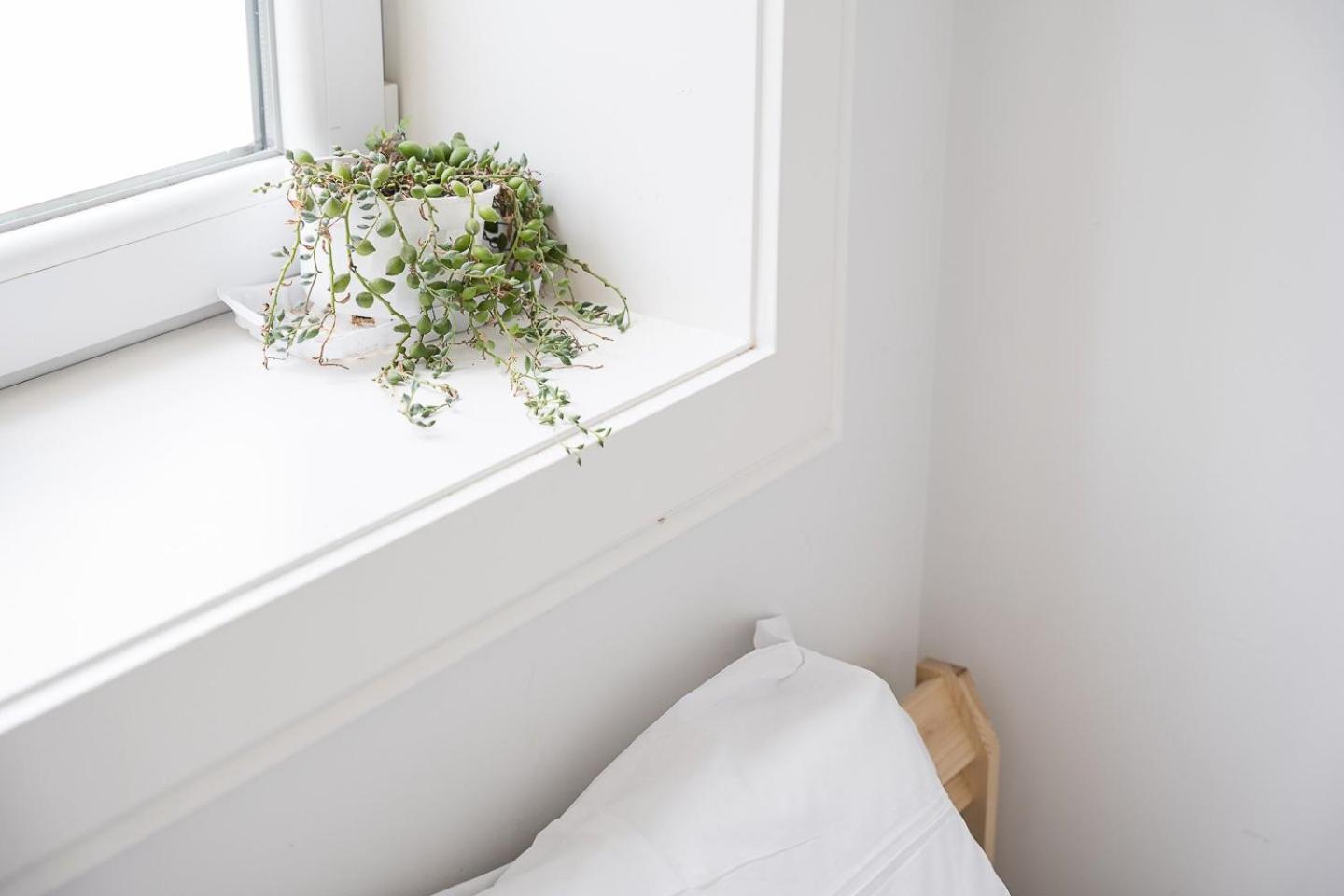 Guestready - The Perfect Haven Near St. Catarina Lejlighed Porto Eksteriør billede