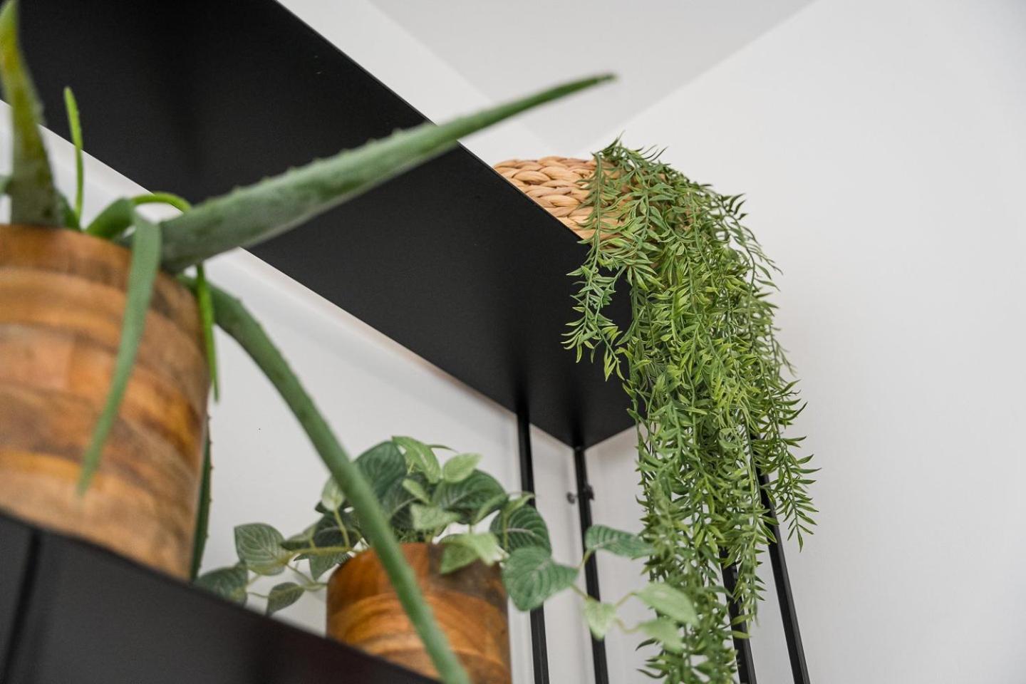 Guestready - The Perfect Haven Near St. Catarina Lejlighed Porto Eksteriør billede
